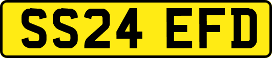 SS24EFD