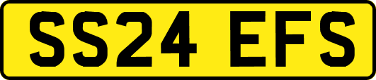 SS24EFS