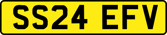 SS24EFV
