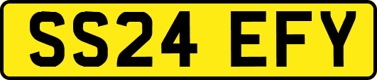 SS24EFY