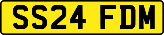 SS24FDM