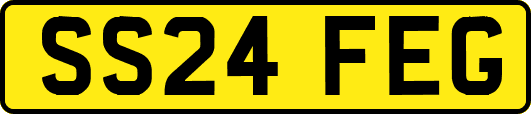 SS24FEG