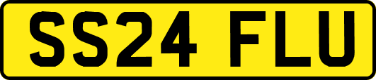 SS24FLU