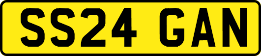 SS24GAN