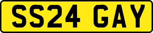 SS24GAY