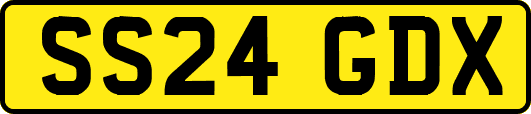 SS24GDX