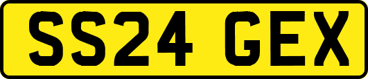 SS24GEX