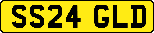 SS24GLD