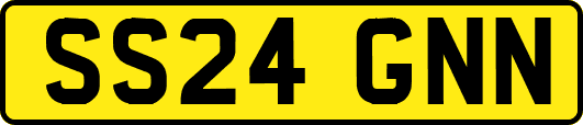 SS24GNN