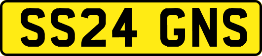 SS24GNS