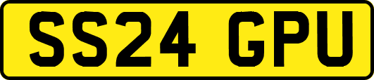SS24GPU