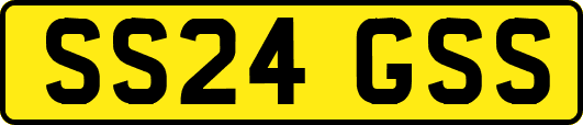 SS24GSS