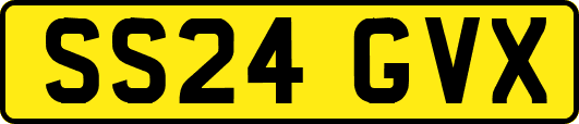 SS24GVX