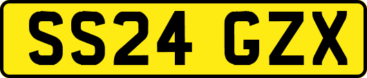 SS24GZX