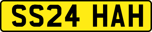 SS24HAH