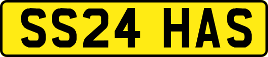 SS24HAS