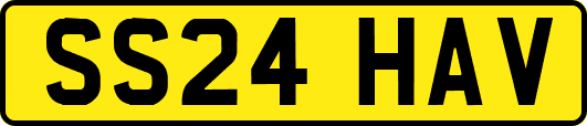 SS24HAV