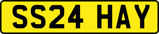 SS24HAY