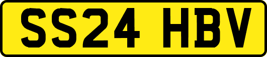 SS24HBV
