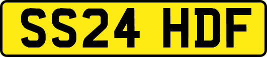 SS24HDF