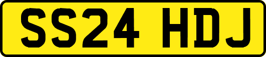 SS24HDJ