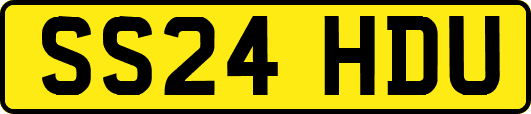 SS24HDU
