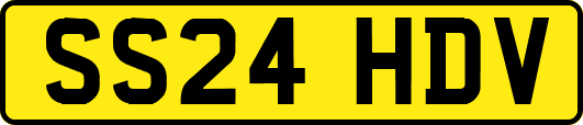 SS24HDV