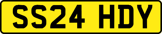 SS24HDY