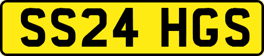 SS24HGS