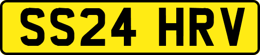 SS24HRV