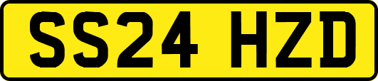 SS24HZD