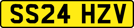 SS24HZV