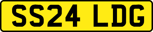 SS24LDG