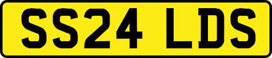 SS24LDS