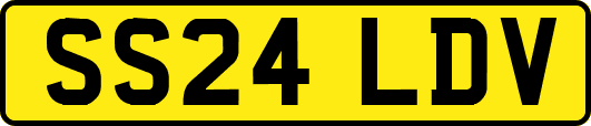 SS24LDV