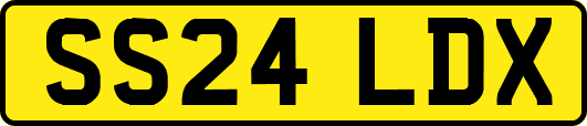 SS24LDX