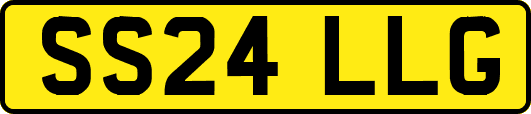 SS24LLG