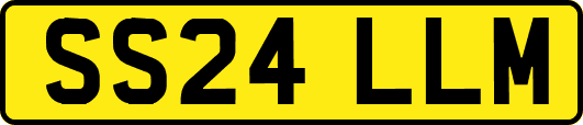 SS24LLM