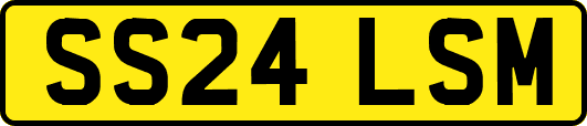 SS24LSM