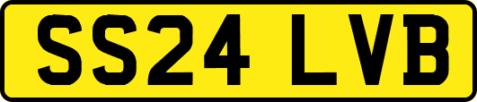 SS24LVB