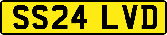 SS24LVD