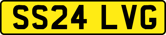 SS24LVG