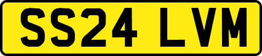SS24LVM