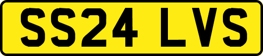 SS24LVS