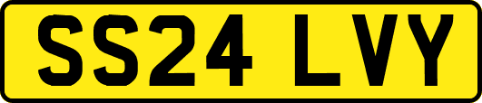 SS24LVY