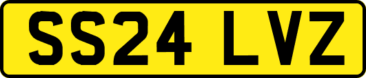 SS24LVZ