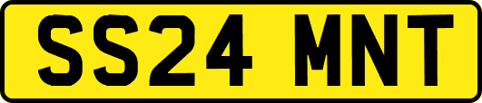 SS24MNT