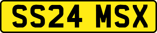 SS24MSX