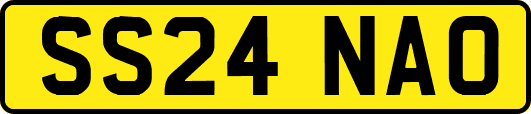 SS24NAO
