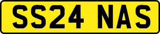 SS24NAS
